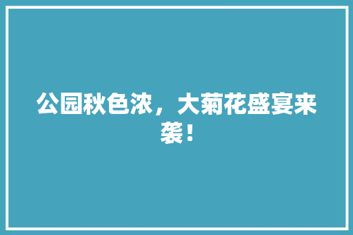 公园秋色浓，大菊花盛宴来袭！