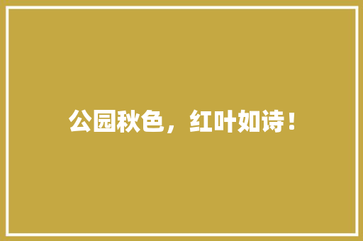 公园秋色，红叶如诗！