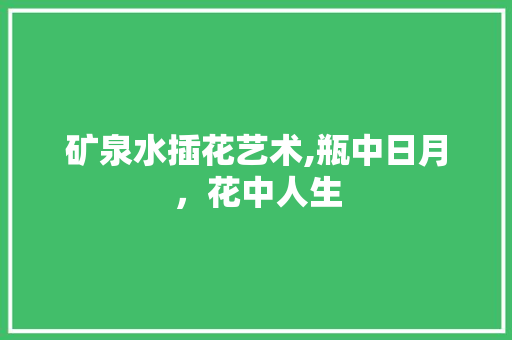 矿泉水插花艺术,瓶中日月，花中人生 育苗设备