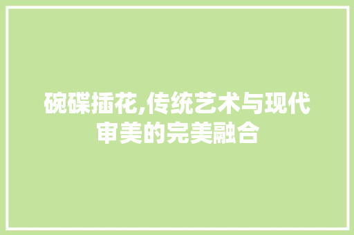 碗碟插花,传统艺术与现代审美的完美融合