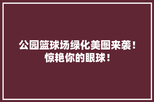 公园篮球场绿化美图来袭！惊艳你的眼球！