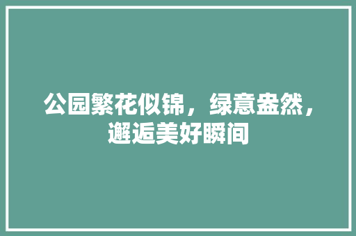 公园繁花似锦，绿意盎然，邂逅美好瞬间