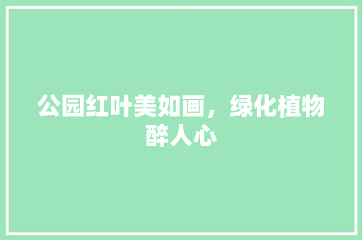 公园红叶美如画，绿化植物醉人心