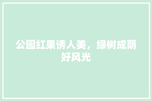 公园红果诱人美，绿树成荫好风光