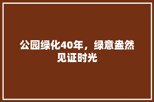 公园绿化40年，绿意盎然见证时光 无土育苗