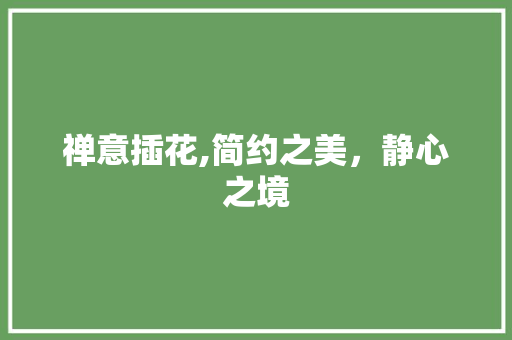 禅意插花,简约之美，静心之境 育苗设备