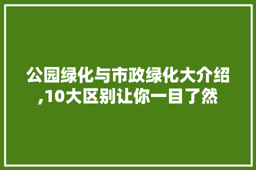 公园绿化与市政绿化大介绍,10大区别让你一目了然