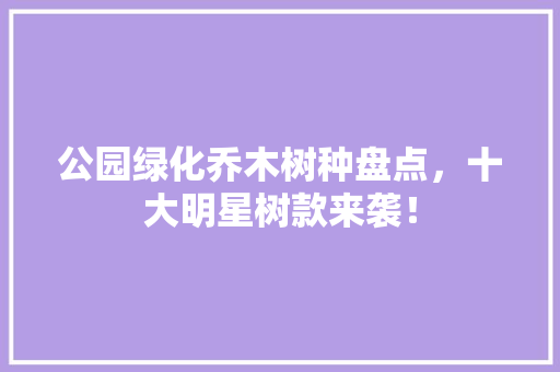 公园绿化乔木树种盘点，十大明星树款来袭！