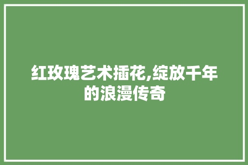 红玫瑰艺术插花,绽放千年的浪漫传奇