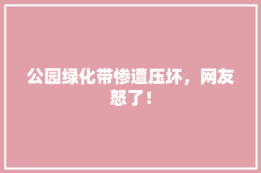 公园绿化带惨遭压坏，网友怒了！