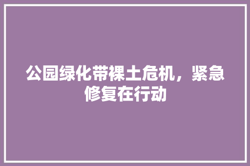 公园绿化带裸土危机，紧急修复在行动