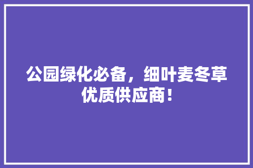 公园绿化必备，细叶麦冬草优质供应商！
