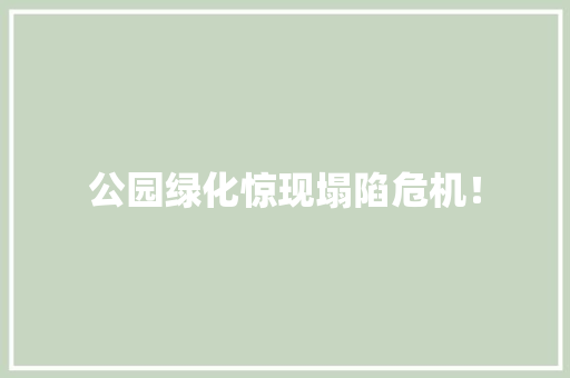 公园绿化惊现塌陷危机！