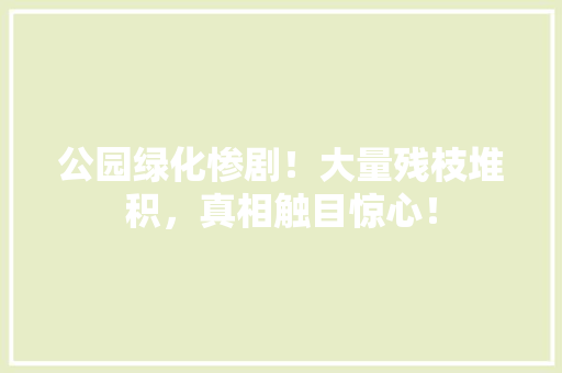 公园绿化惨剧！大量残枝堆积，真相触目惊心！