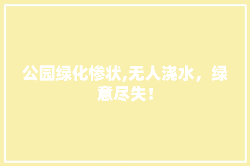 公园绿化惨状,无人浇水，绿意尽失！