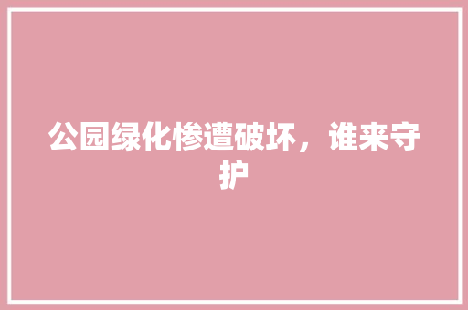公园绿化惨遭破坏，谁来守护