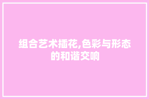 组合艺术插花,色彩与形态的和谐交响 有机育苗