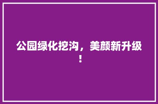 公园绿化挖沟，美颜新升级！