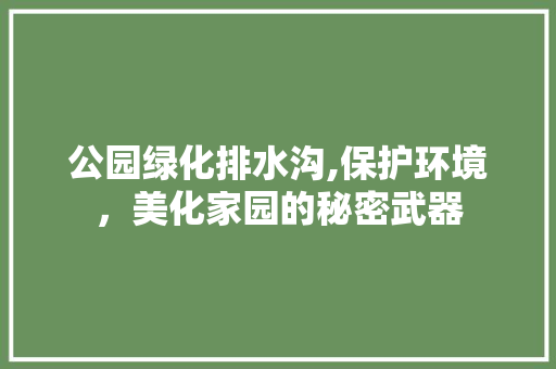 公园绿化排水沟,保护环境，美化家园的秘密武器
