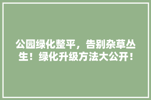 公园绿化整平，告别杂草丛生！绿化升级方法大公开！