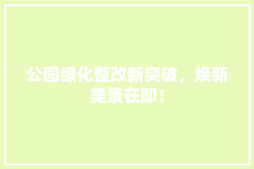 公园绿化整改新突破，焕新美景在即！