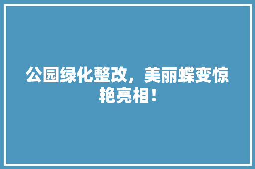 公园绿化整改，美丽蝶变惊艳亮相！ 花卉育苗