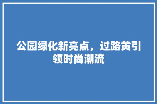 公园绿化新亮点，过路黄引领时尚潮流
