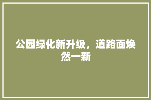 公园绿化新升级，道路面焕然一新