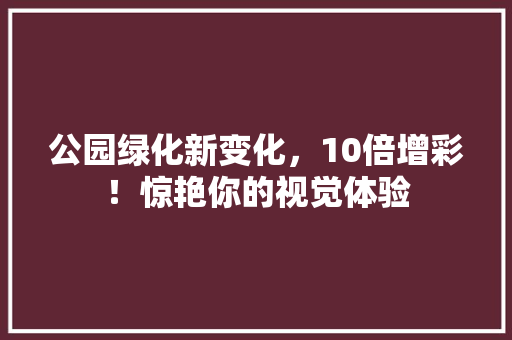 公园绿化新变化，10倍增彩！惊艳你的视觉体验