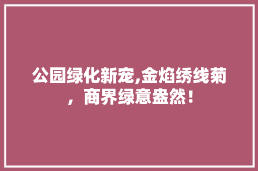 公园绿化新宠,金焰绣线菊，商界绿意盎然！