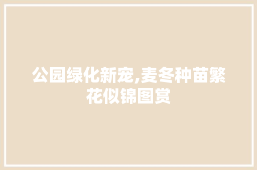公园绿化新宠,麦冬种苗繁花似锦图赏