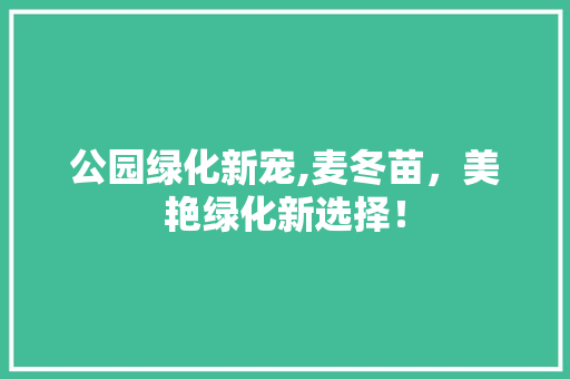 公园绿化新宠,麦冬苗，美艳绿化新选择！
