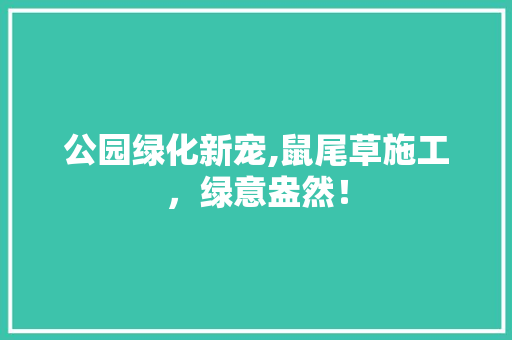 公园绿化新宠,鼠尾草施工，绿意盎然！