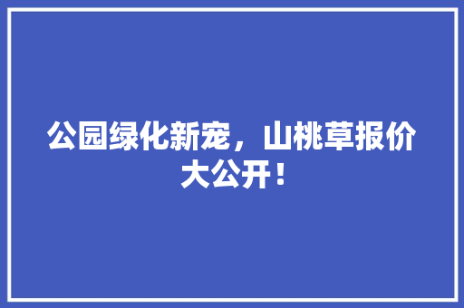 公园绿化新宠，山桃草报价大公开！