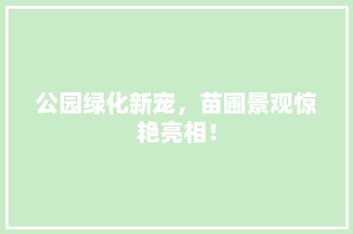 公园绿化新宠，苗圃景观惊艳亮相！