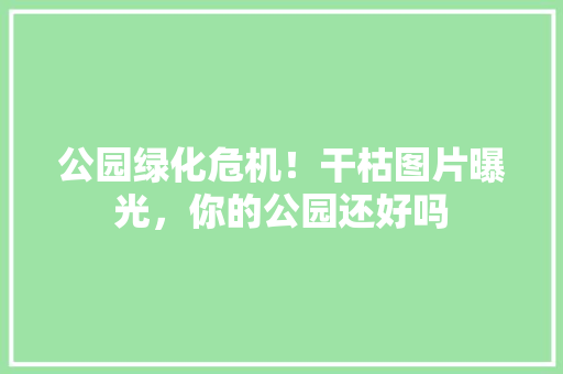 公园绿化危机！干枯图片曝光，你的公园还好吗 蔬菜育苗