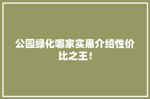 公园绿化哪家实惠介绍性价比之王！