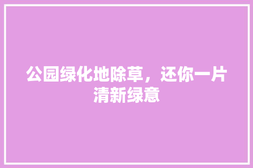 公园绿化地除草，还你一片清新绿意