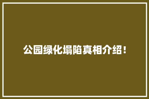 公园绿化塌陷真相介绍！