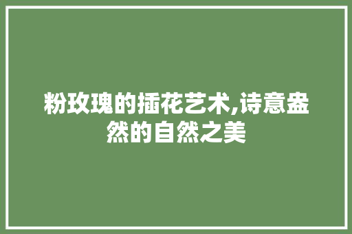 粉玫瑰的插花艺术,诗意盎然的自然之美
