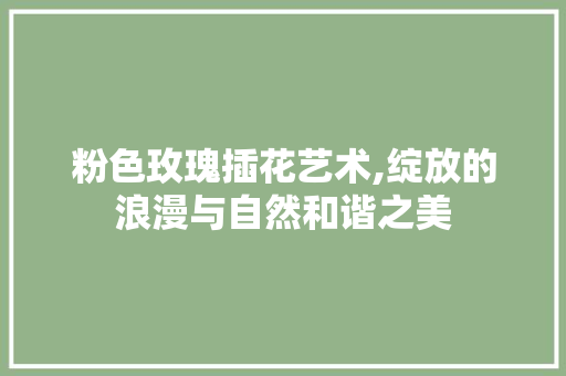 粉色玫瑰插花艺术,绽放的浪漫与自然和谐之美 温室育苗