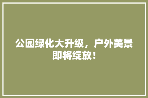 公园绿化大升级，户外美景即将绽放！