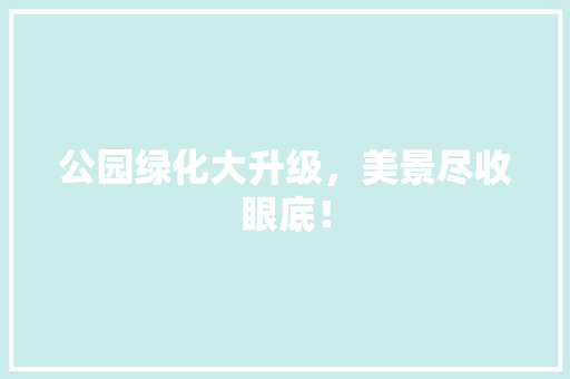 公园绿化大升级，美景尽收眼底！
