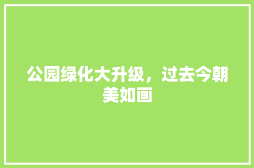 公园绿化大升级，过去今朝美如画