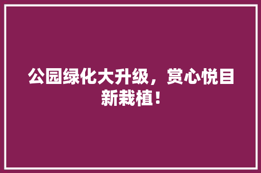 公园绿化大升级，赏心悦目新栽植！