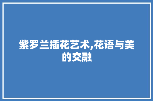 紫罗兰插花艺术,花语与美的交融