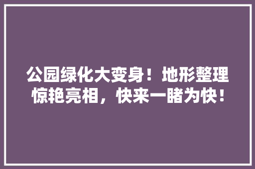 公园绿化大变身！地形整理惊艳亮相，快来一睹为快！