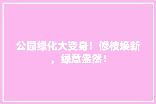 公园绿化大变身！修枝焕新，绿意盎然！