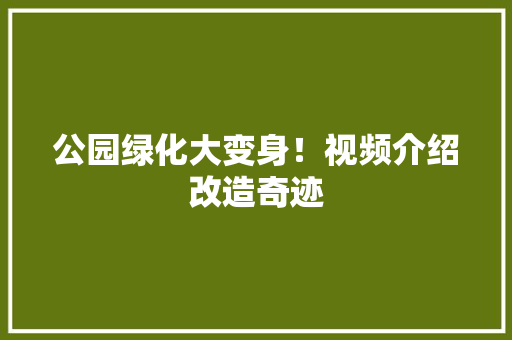 公园绿化大变身！视频介绍改造奇迹