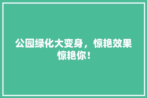 公园绿化大变身，惊艳效果惊艳你！